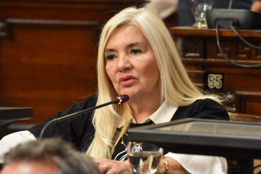 Laura Balsells Miró, autora del proyecto
